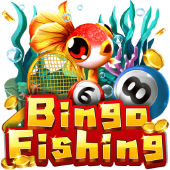 Bingo Fishing Boeing 737