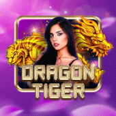 Dragon Tiger Boeing 737