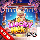 Lucky Neko at Boeing 737