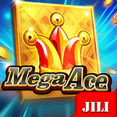 Mega Ace Boeing 737 slot